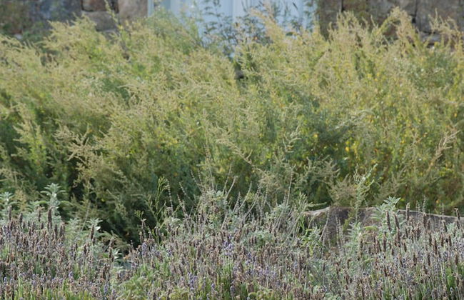 Plan B Holidays - Foto 19