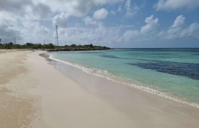 Harrys Cottages Cottage 5 Right on the Pink Sand - Foto 6