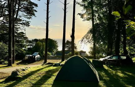 Millstone Cottage - Foto 12