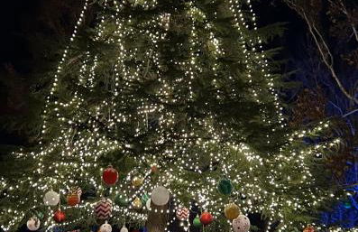 Mountain View Home - Foto 13