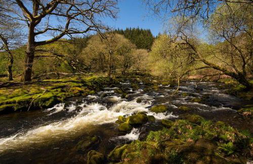 Charming Riverside Cottage in Snowdonia National Park - Foto 27