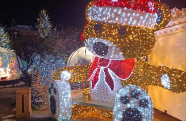 T2 cabine avec très belle vue sur le port de plaisance - Foto 50