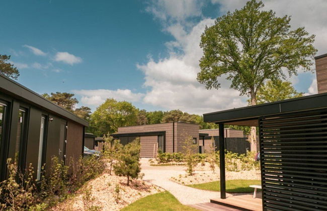 Soof Heuvelrug - Photo 13