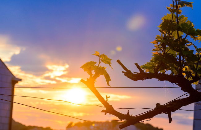 Villa Ida - Photo 47