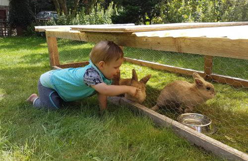 Doppelhaushälfte Nordwind vom Naturhof Usedom - Foto 43