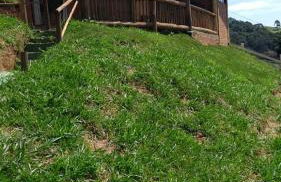 Chalé charmoso com vista p/ Montanha - Gonçalves - Photo 20