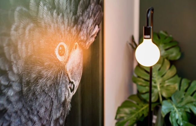 The Baylis Boutique Apartments - Photo 56