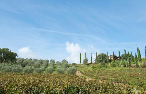 Tenuta La Tabaccaia - Foto 28