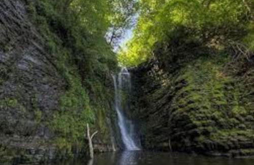 Rose Cottage Trecynon Traditional 2 bed cottage Zip World Beacons Bike - Photo 35