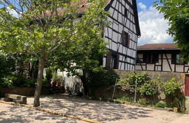 La Cour Zaepffel - Foto 45