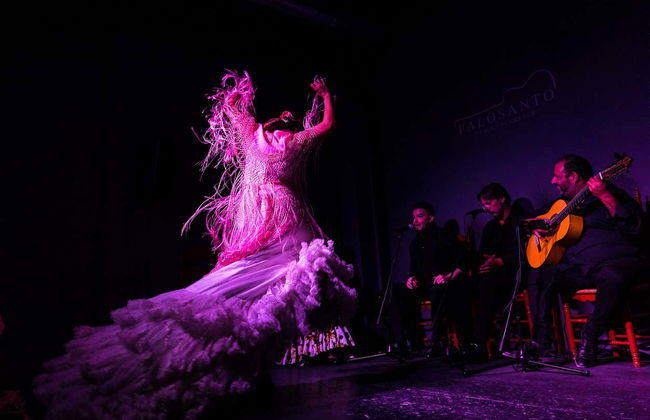 Spettacolo di flamenco al tablao Palosanto - Foto 6