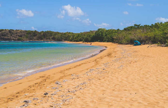 Excursión a Playa Escondida - Foto 1