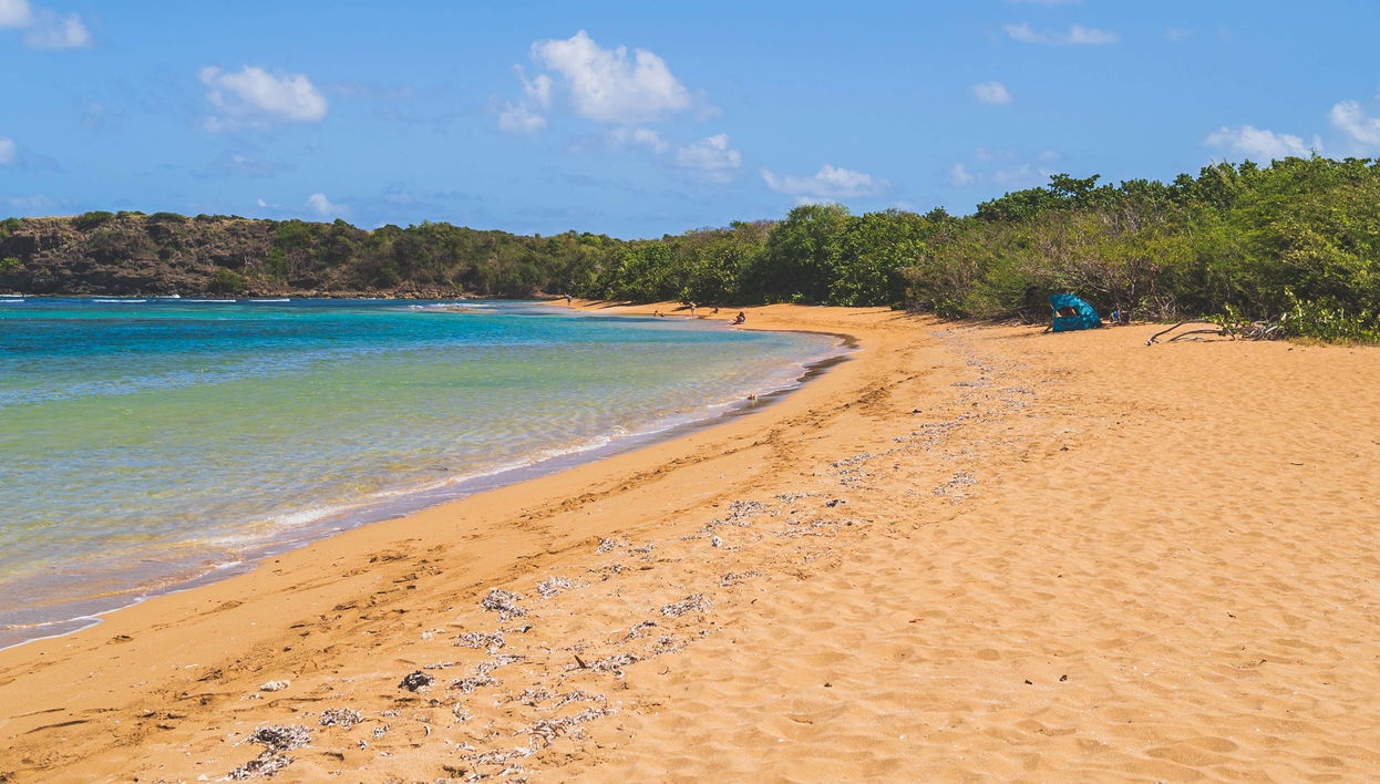 Excursión a Playa Escondida