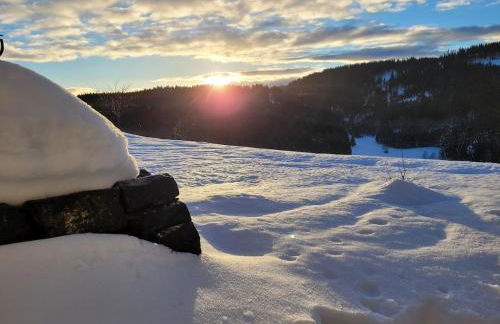 Alpinchalet Bergahorn - luxeriöse Wohnung mit Sauna und grosser Terrasse - Photo 22