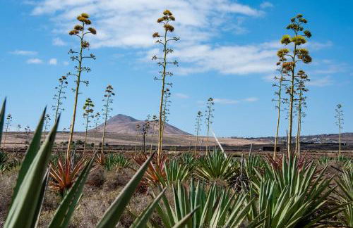 Casa Cactus - Foto 2