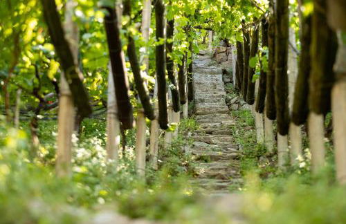 Ladurnerhof Boutique Apartments Meran - Photo 21