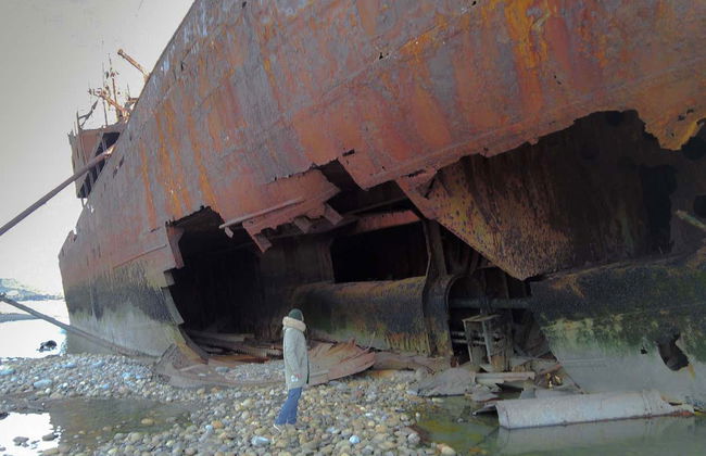 Cape San Pablo & Estancia Pirinaica Trip - Photo 4