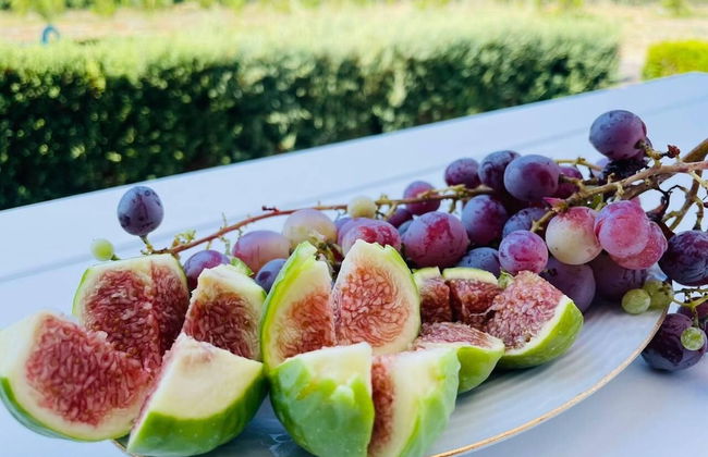 Remarkable 5-bed Villa in Miliou Village Paphos - Foto 21