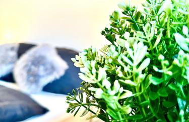 Gemütliches Alpenblick BERG-Bungalow + großer GARTEN + NETFLIX! - Foto 44