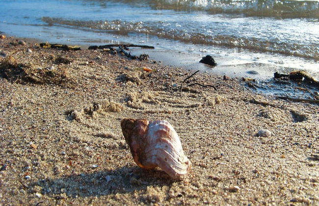 Doppelhaushaelfte, Twietfort - Foto 9