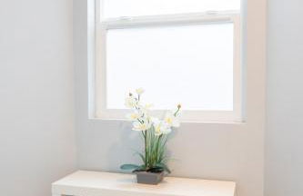 Entire house Pet Friendly w gated backyard Boeing - Foto 25