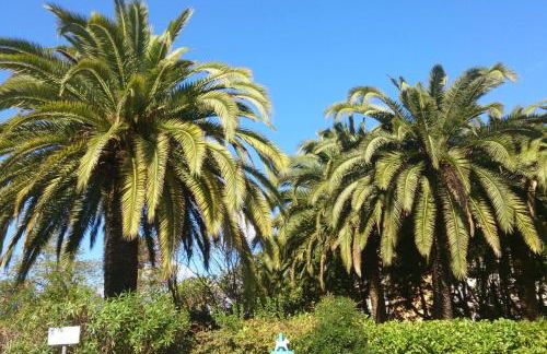 Cannes près Croisette beau 2 pièces 3 étoiles - Foto 11