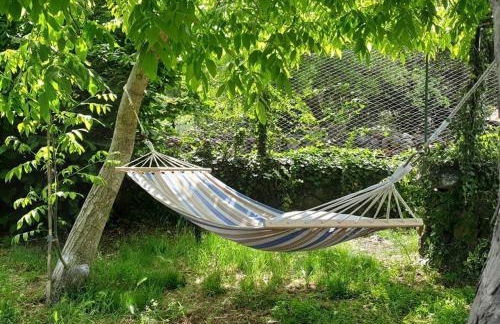 Etna, salvia e rosmarino - Foto 12