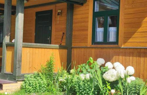 Willa Gruszki Puszcza Białowieska - Photo 27