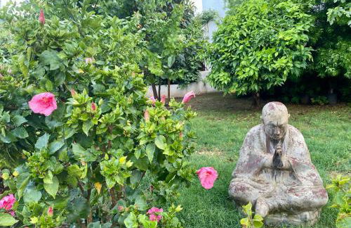 Can Mossènyer - Foto 7