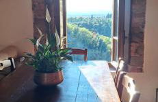 Casa del Contadino Rapale - Foto 13