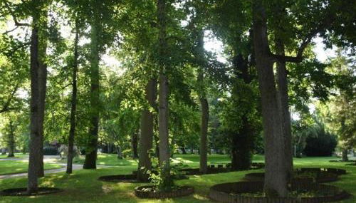 Appartement lumineux 4* pour 2 à Vittel, proche thermes, WiFi, parking gratuit - FR-1-589-745 - Foto 5