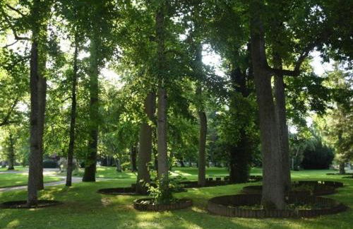 Appartement lumineux 4* pour 2 à Vittel, proche thermes, WiFi, parking gratuit - FR-1-589-745 - Foto 5