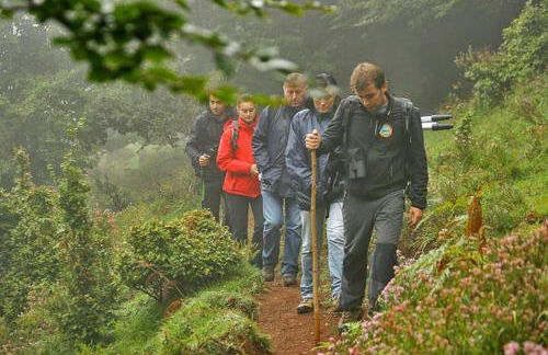 Casa La Parra - Foto 17