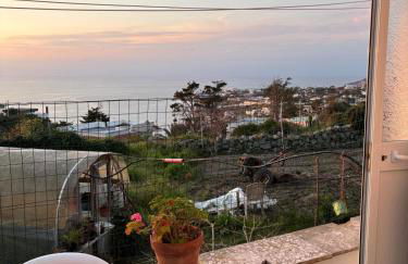 A cas e Rosa - Foto 30