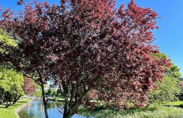 Modern Coastal Retreat, 5-Bedroom, 4-Bathroom Home, with Parking in Portsoy - Foto 46