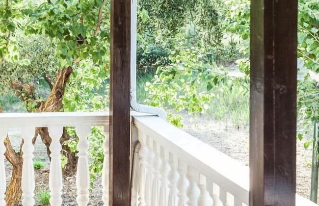 Areti Orfeas Studios - Foto 33