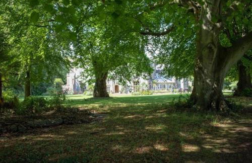 Uphill Manor - Foto 39