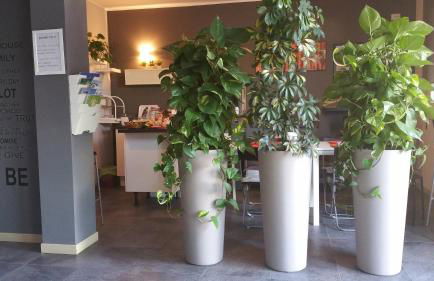 Affittacamere Borgo Sabbionara - Foto 45