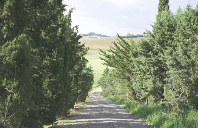 Residence Giuly Rosselmini - Foto 38