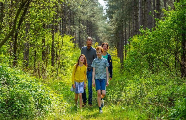 Chalet With air Conditioning 16 km From Maastricht - Foto 34