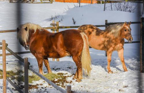 Ferienwohnung Im Weiler, 70 Qm - Foto 25