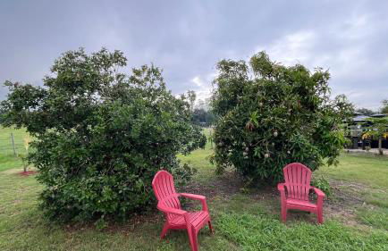 BlockHaven near Legoland, Disney - Foto 48