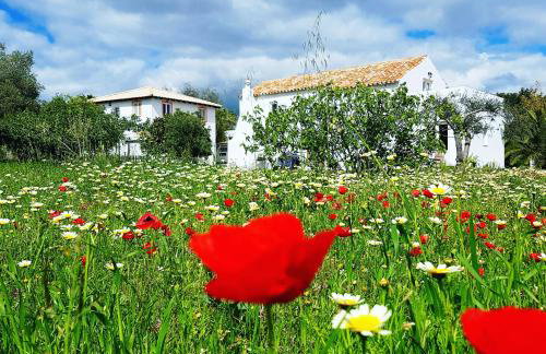 Quinta dos Cochichos – Country Houses - Foto 82