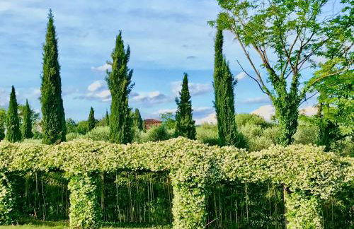 Agriturismo Antica Dimora Del Turco - Foto 21