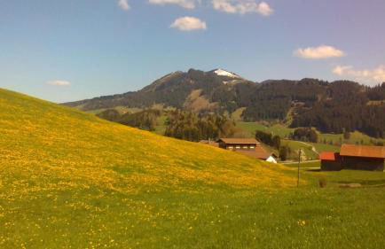 Ferienwohnung Sonnenbichel - Photo 25