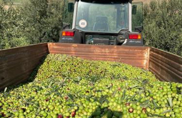 Casa Vacanza "Corso Olmo" - Foto 42