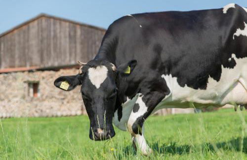 Huxfeld-Hof - Wörpe - Foto 23