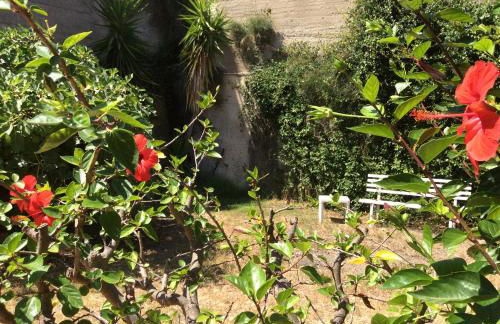 Villa Serena - Foto 18