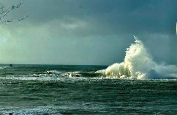 La cabane de la baie - Foto 35