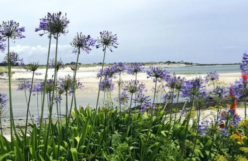 La Maison de la Mer - Foto 9